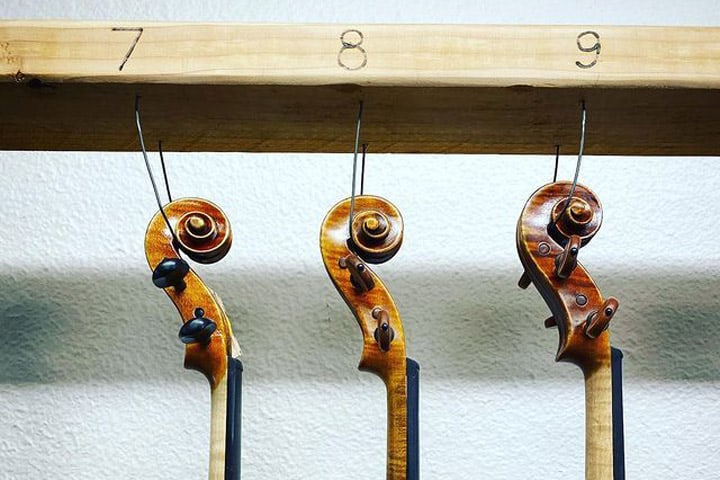 The Violin Shop Article