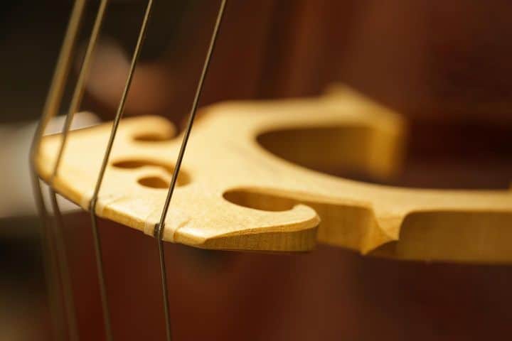 The Violin Shop Article