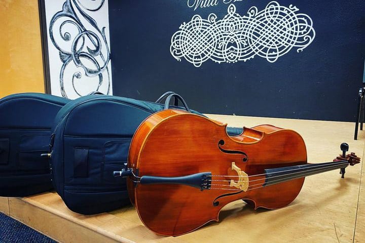 The Violin Shop Article