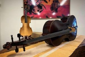 The Violin Shop Article  