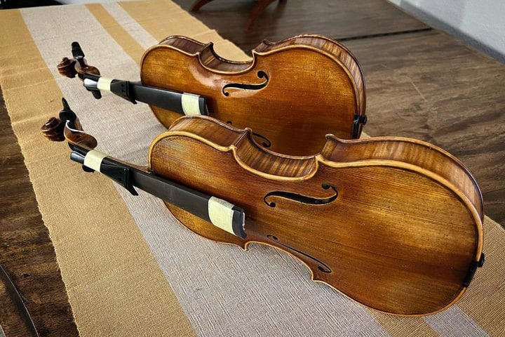 The Violin Shop Article